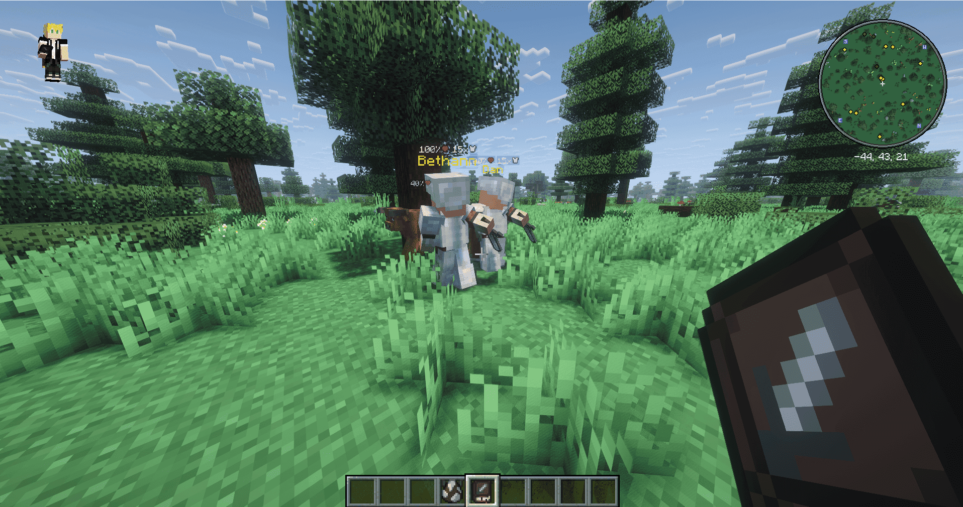 Rally of the Guard - GuardVillagers screenshot