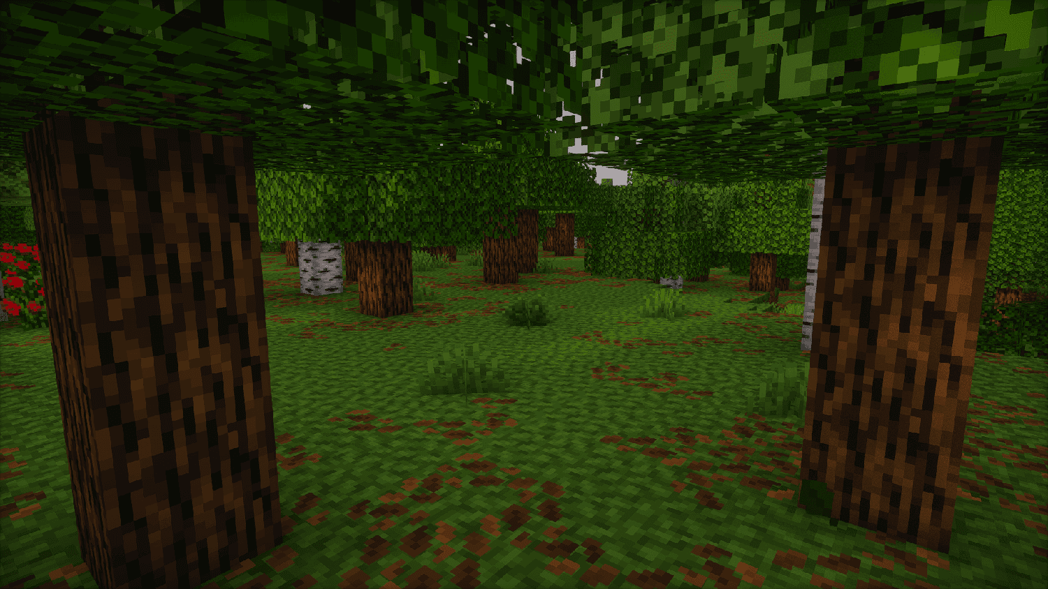 Revibed screenshot