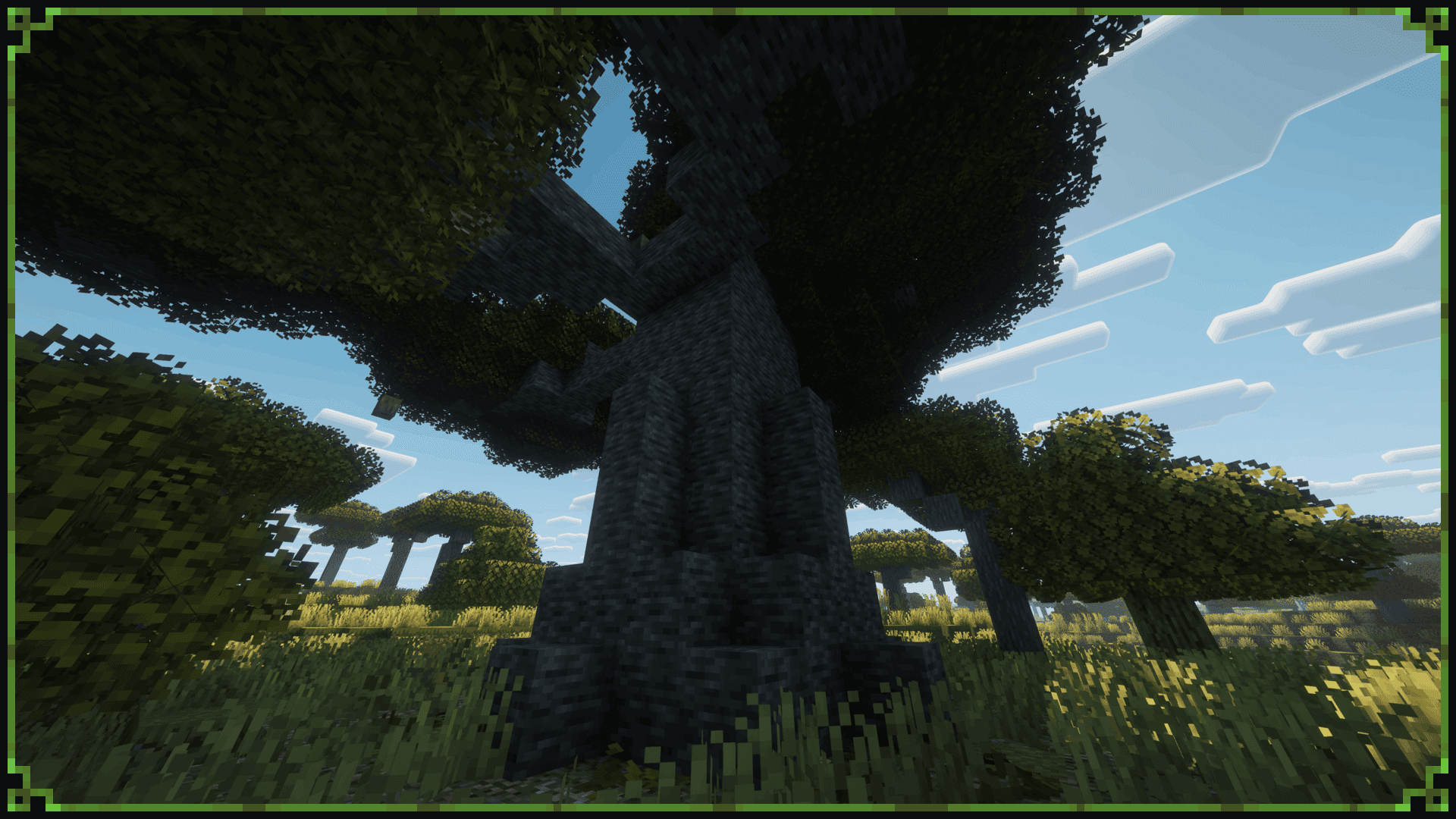 Baobab Tree screenshot