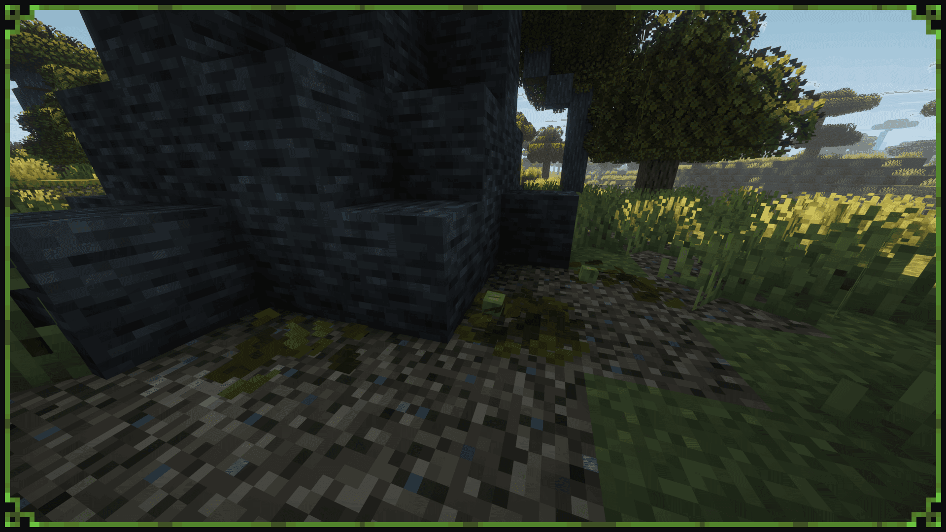 Baobab Tree screenshot