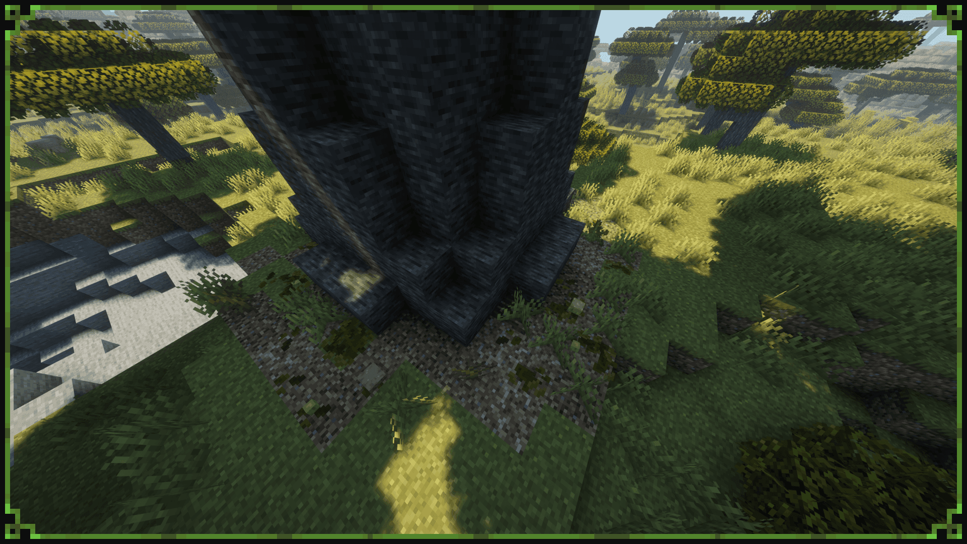 Baobab Tree screenshot