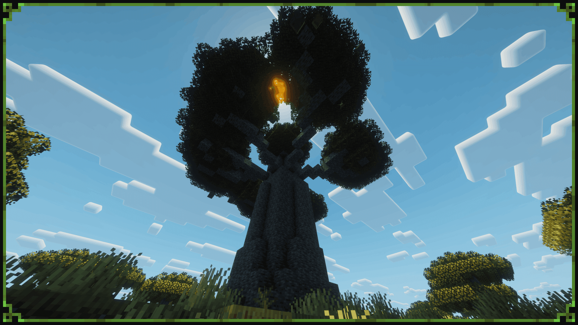 Baobab Tree screenshot