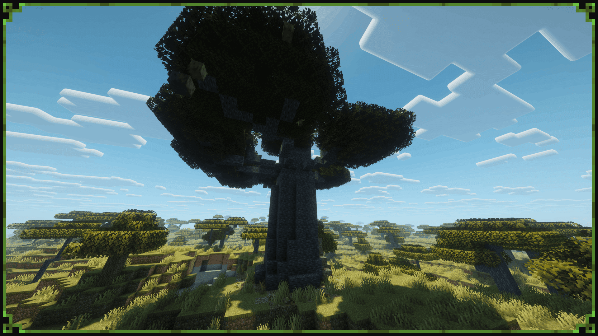 Baobab Tree screenshot