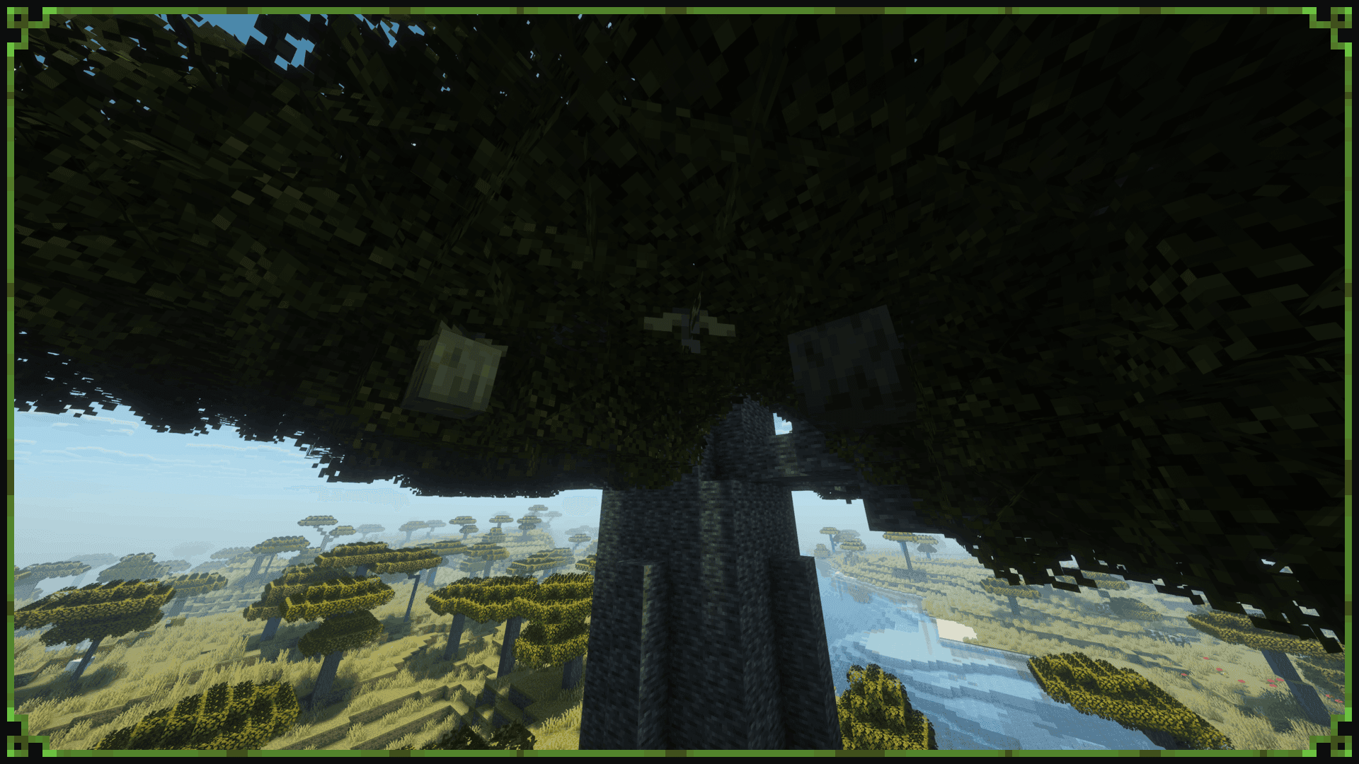 Baobab Tree screenshot