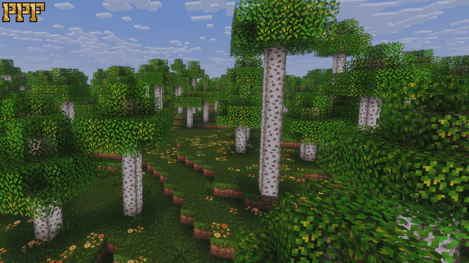 Pixel Perfection Fidelity screenshot