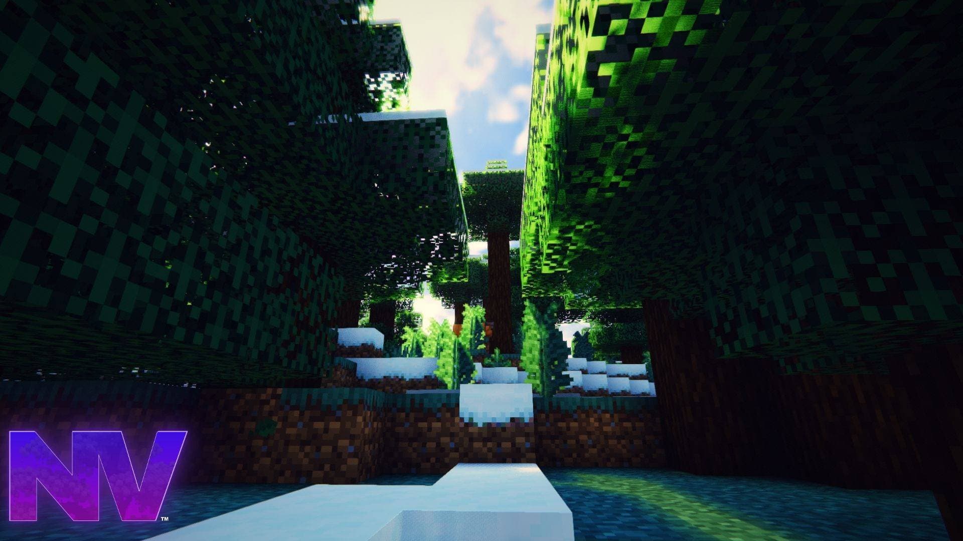 NaturalVision Shader screenshot