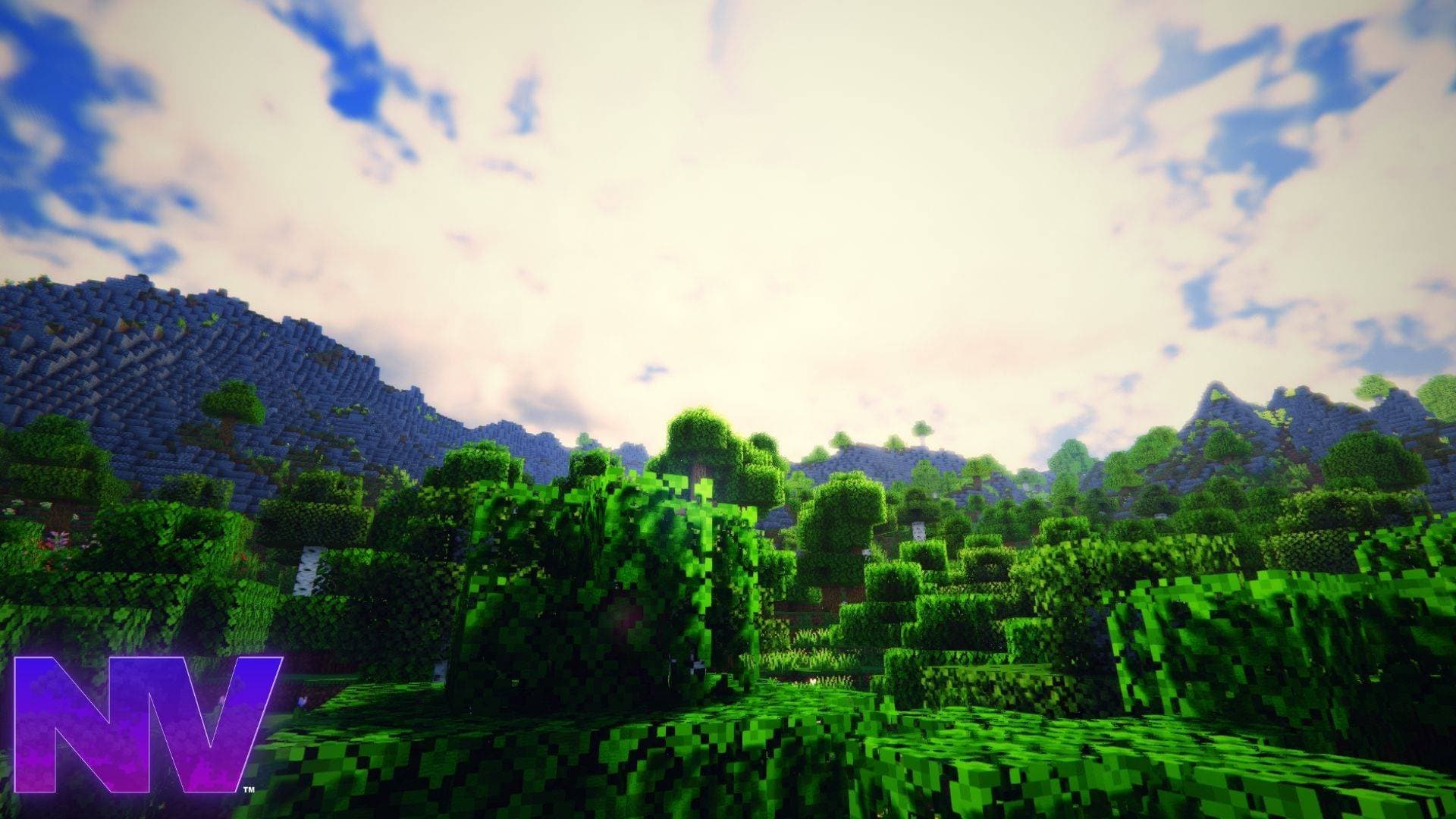 NaturalVision Shader screenshot