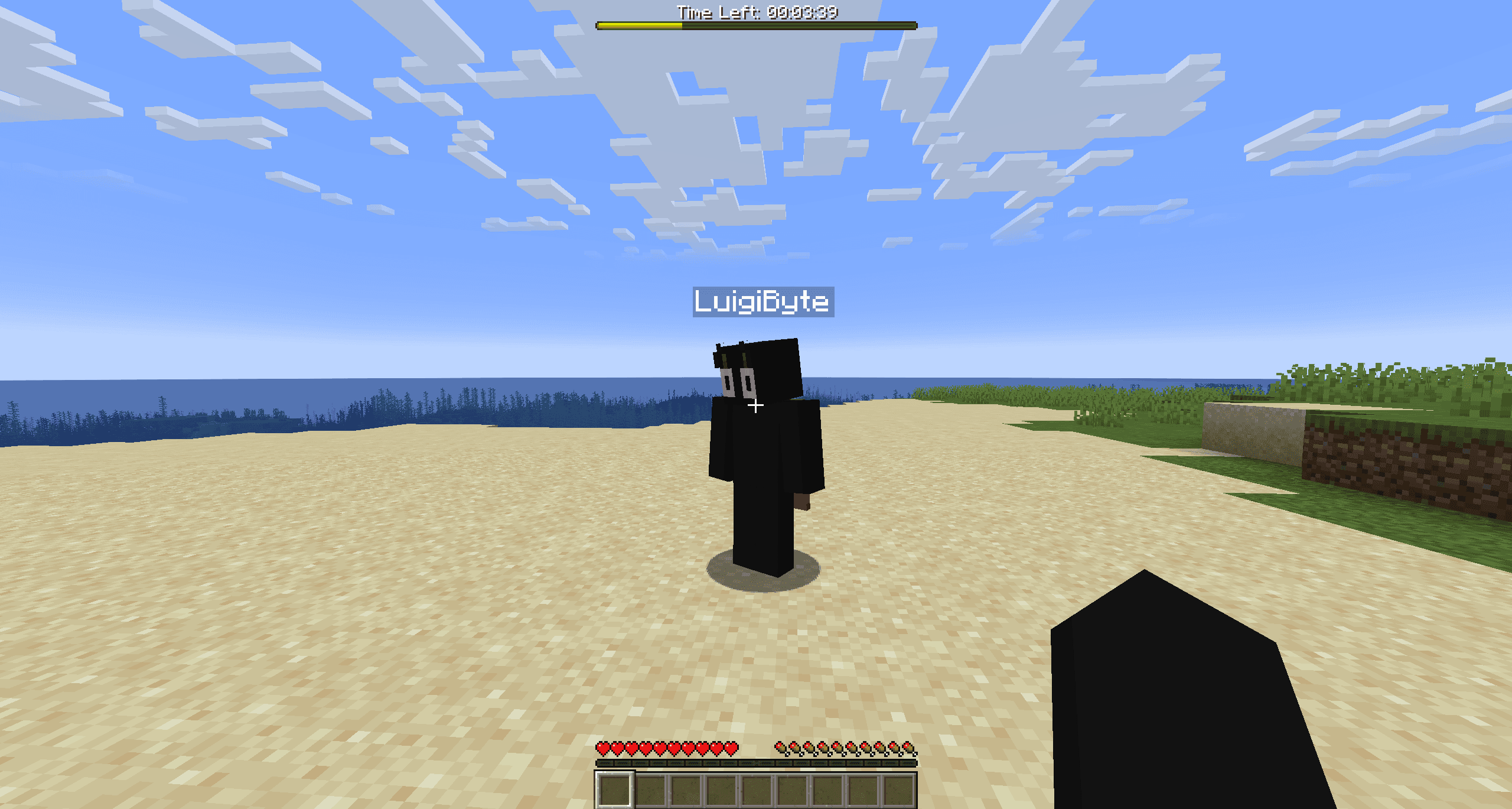 Time Loop screenshot