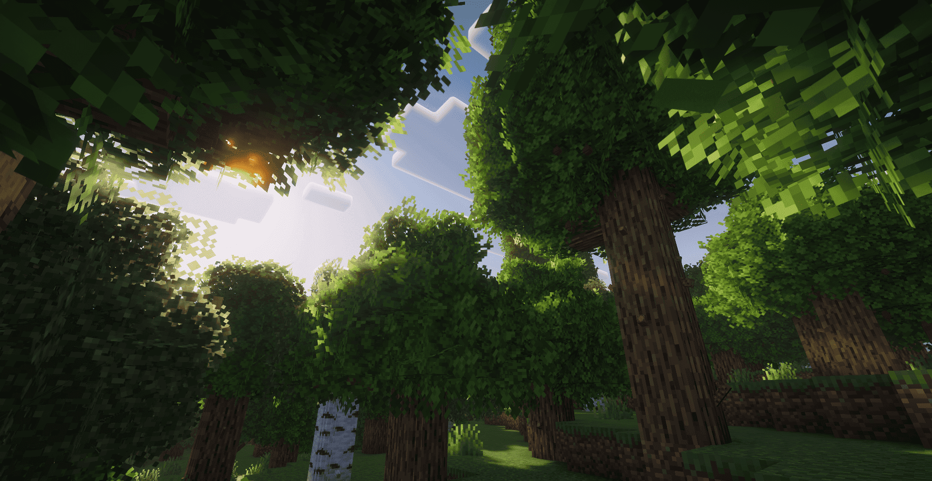 Lush Leaves screenshot