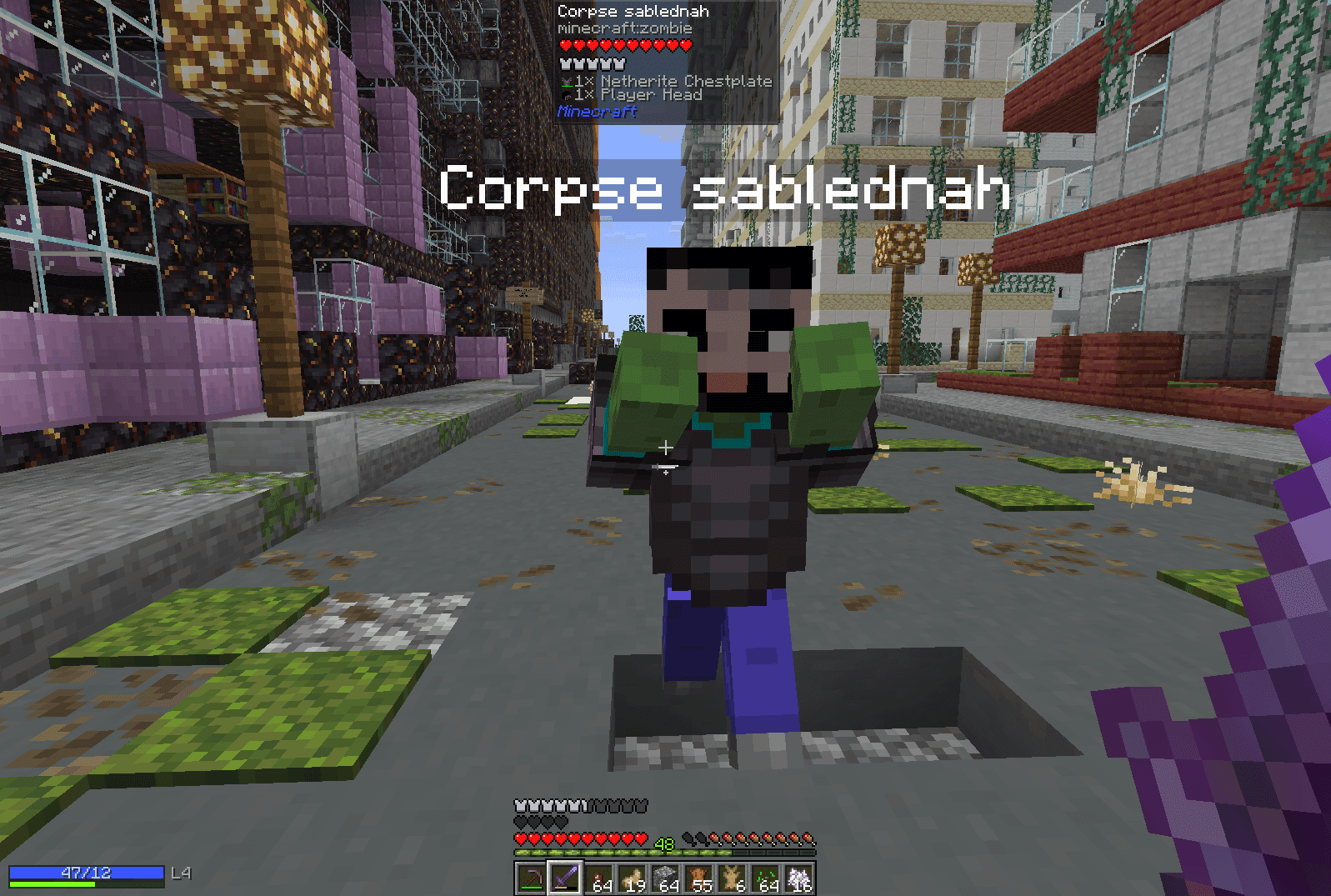 ZombieMod ReForged screenshot