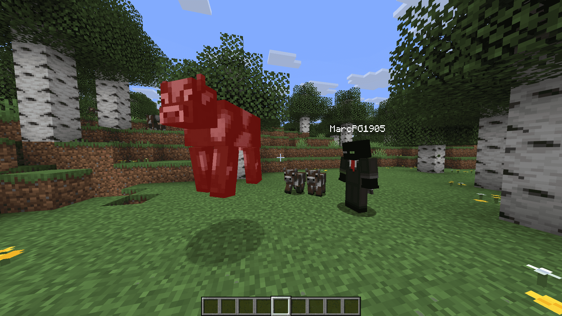 Freecam World Freeze (Extension) screenshot