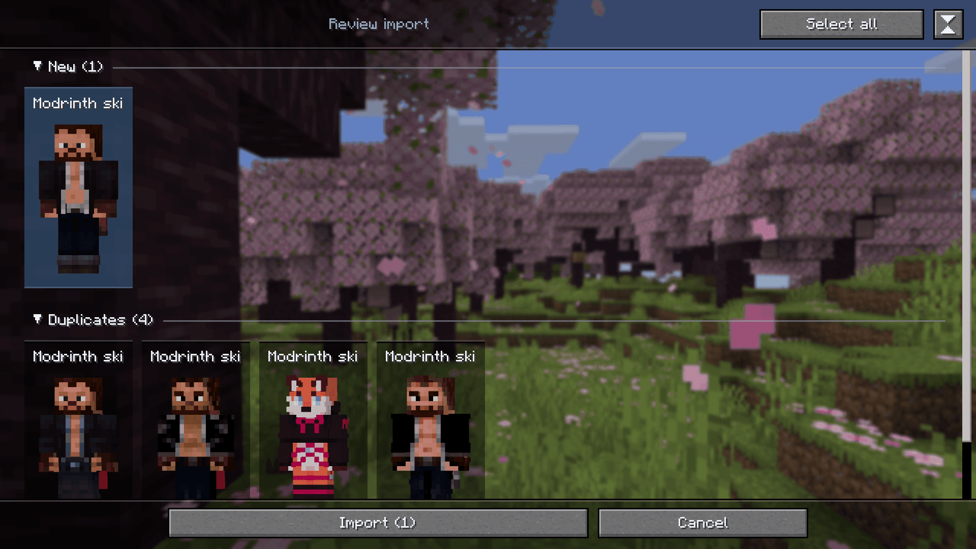 NCL Skins screenshot