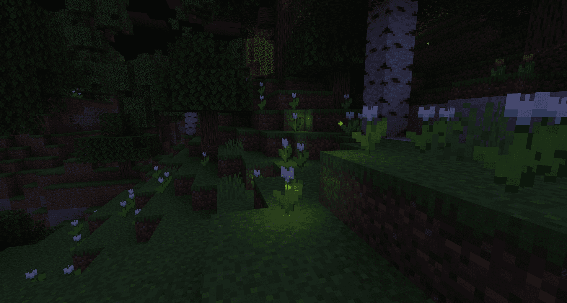 Dynamic Surroundings screenshot
