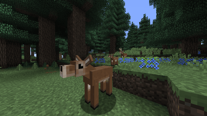 Familiar Fauna screenshot