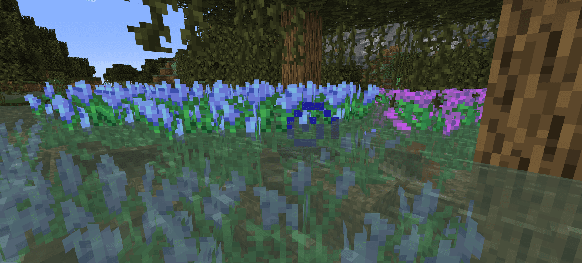Upgrade Aquatic screenshot