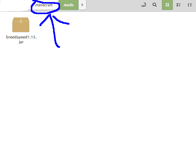 customspeed screenshot