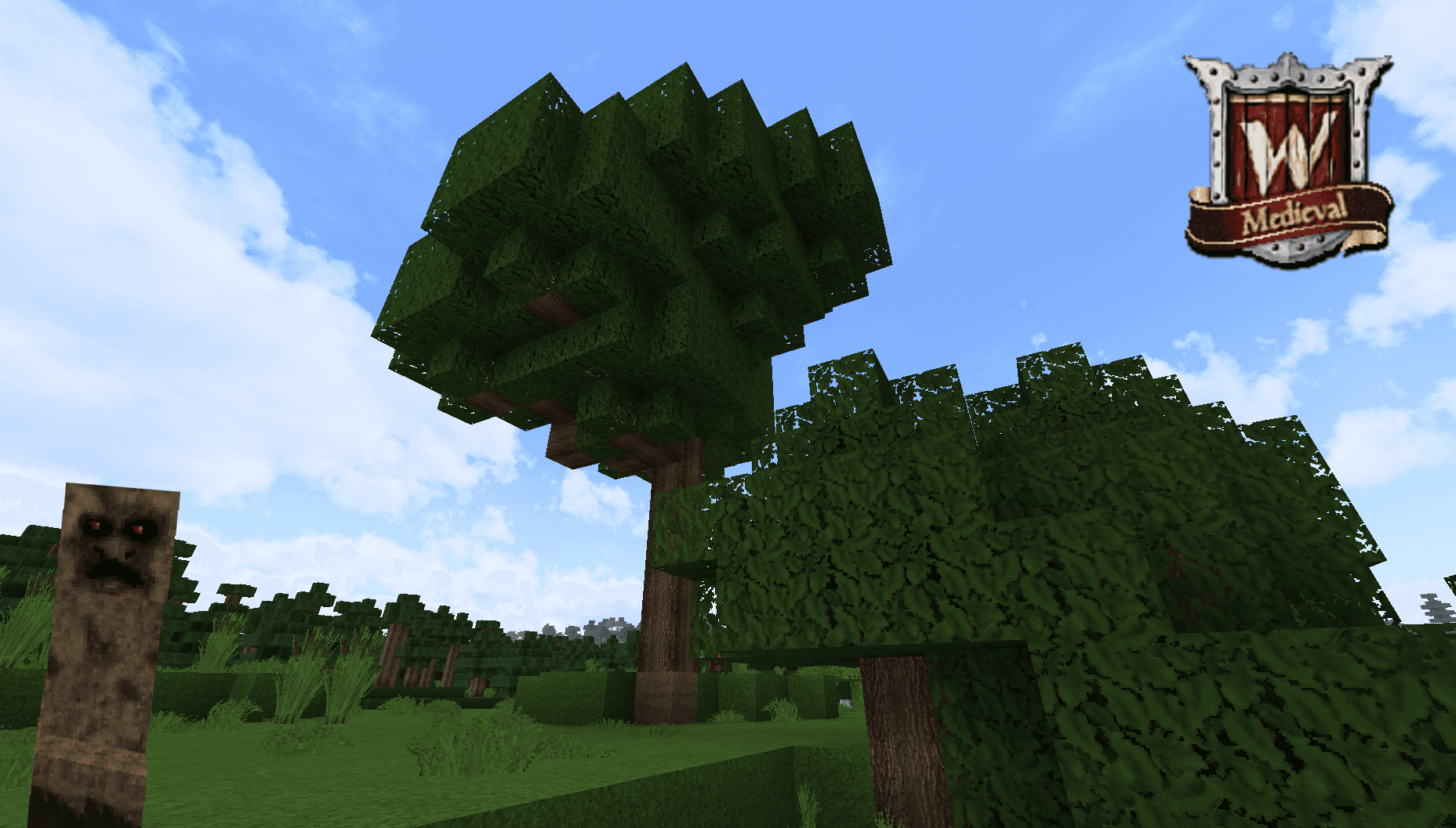 Winthor Medieval screenshot