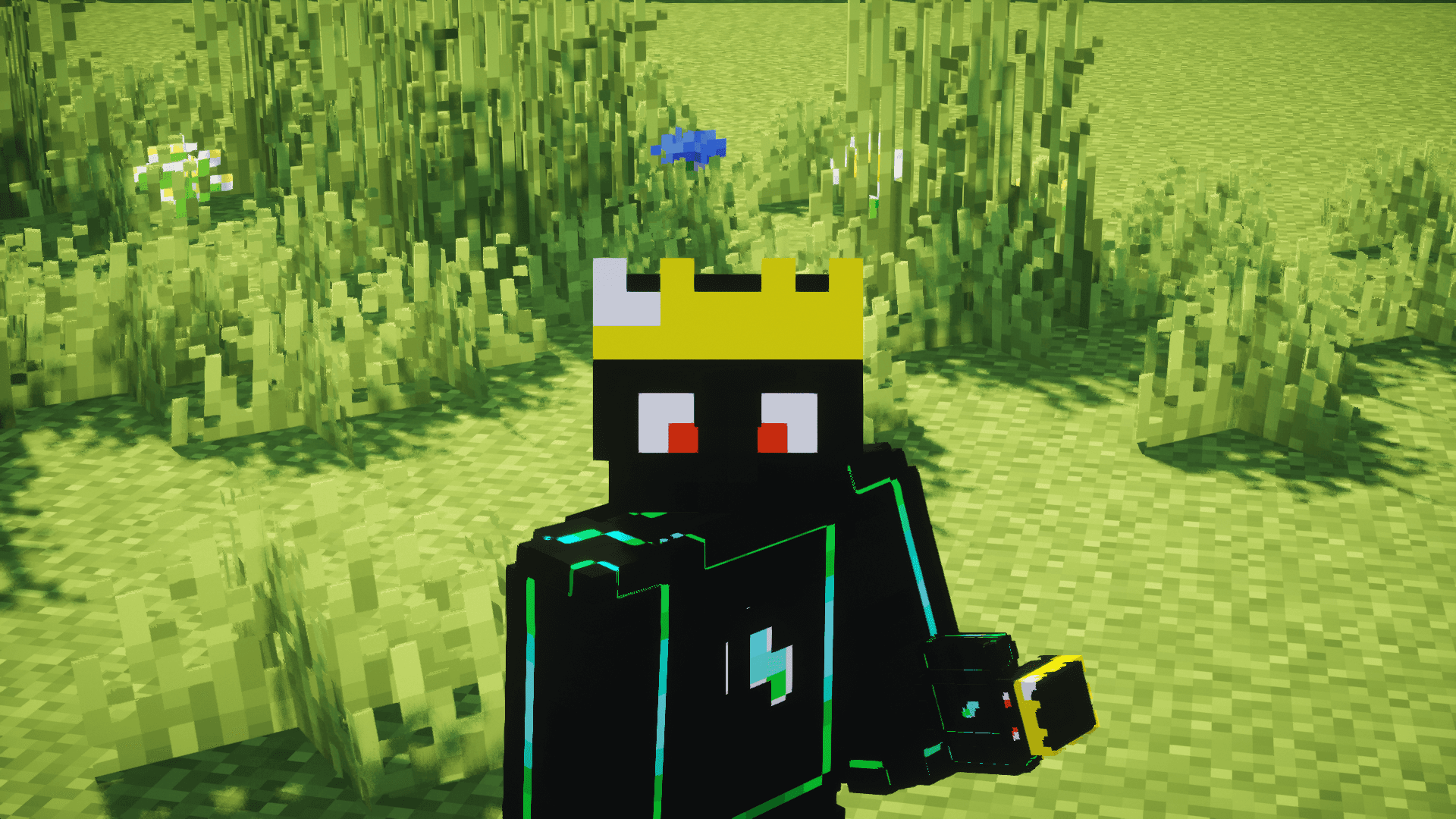 Custom Totem screenshot