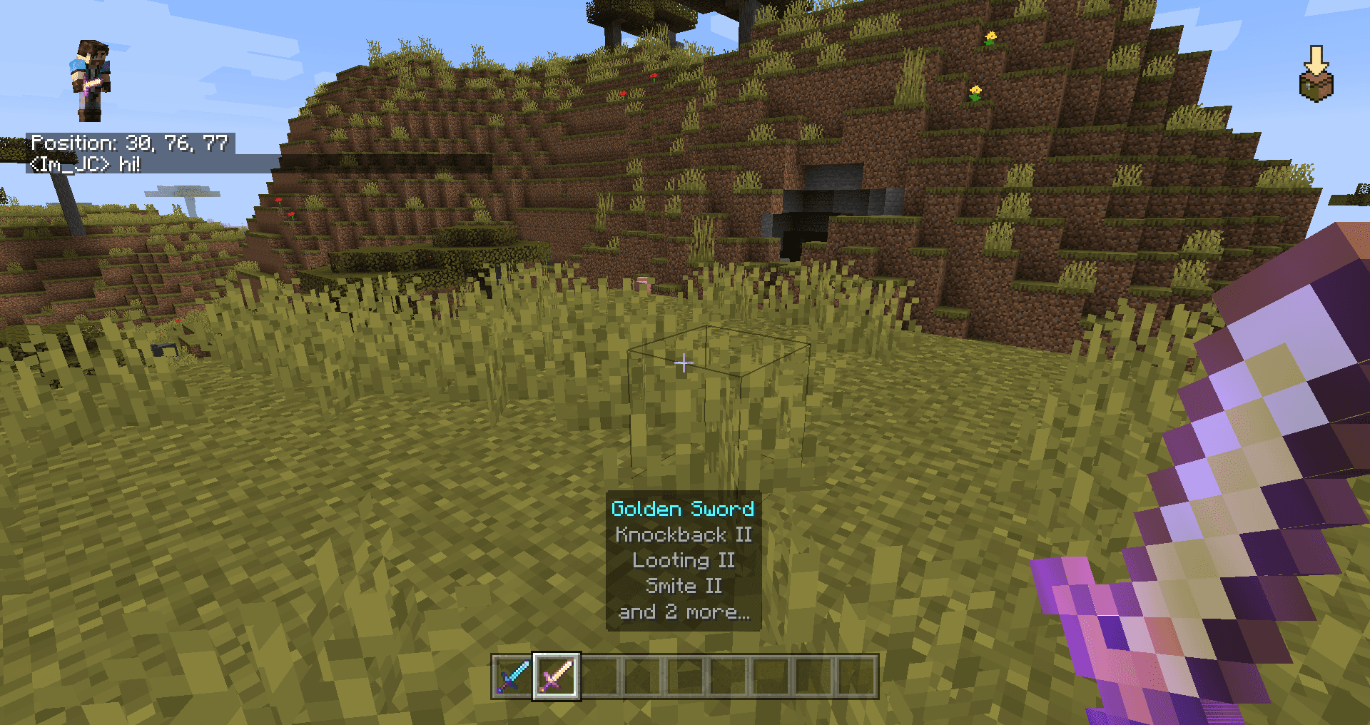 BedrockIfy - Bedrock Features on Java! screenshot