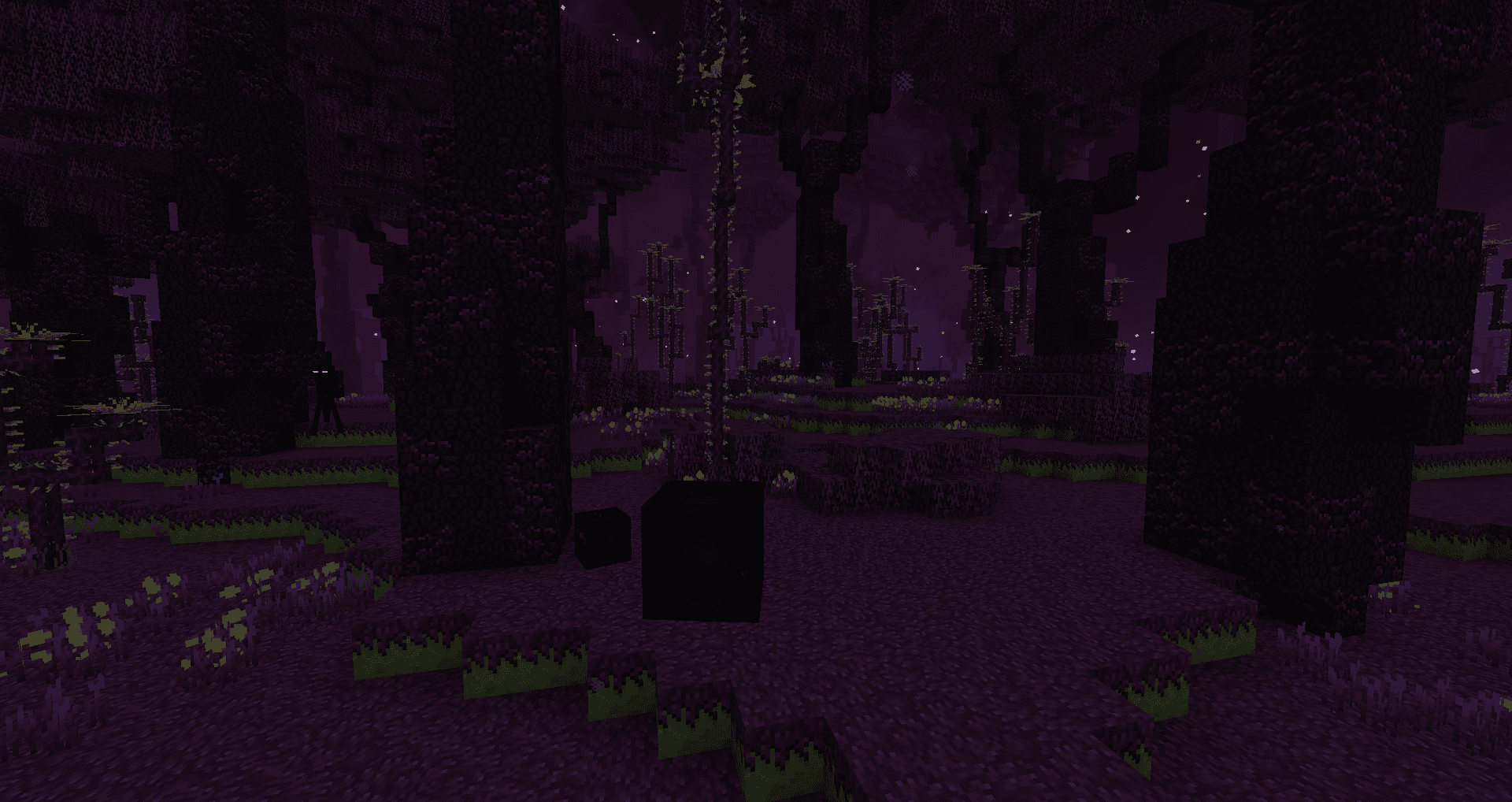 BetterEnd screenshot