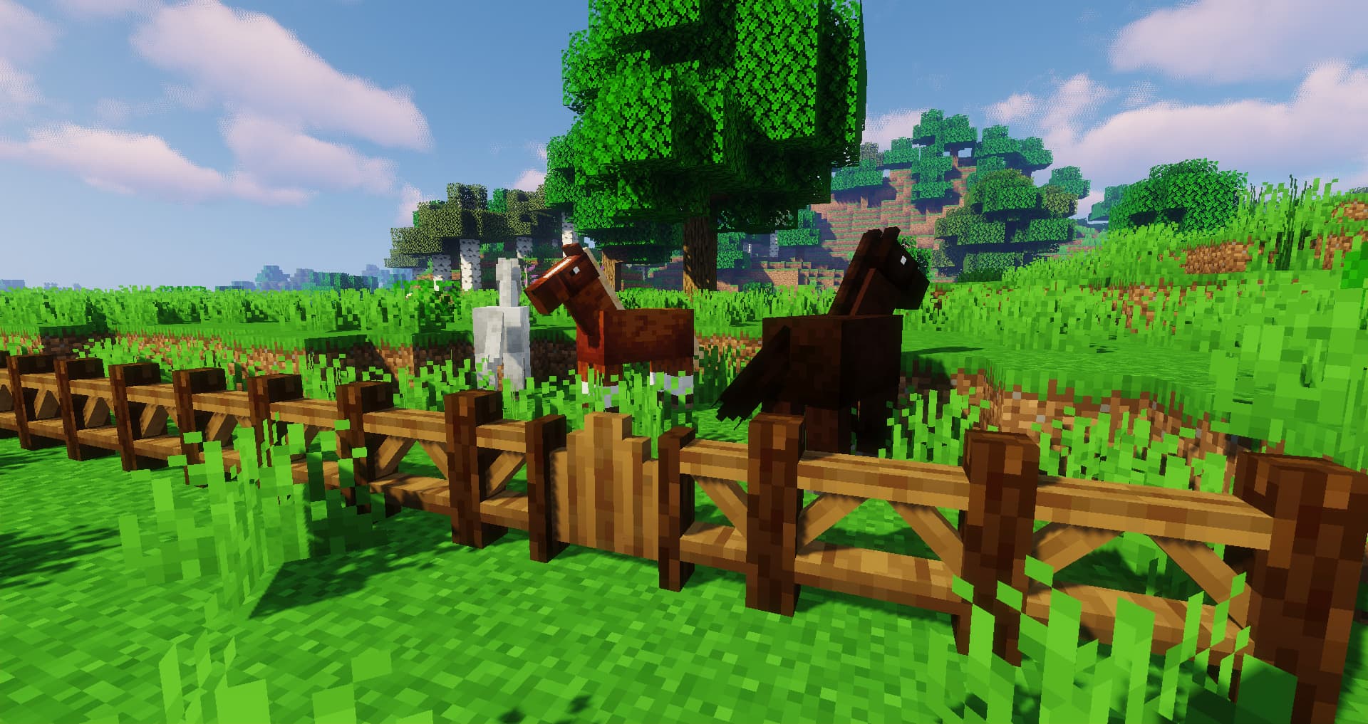 Macaw's Fences and Walls screenshot