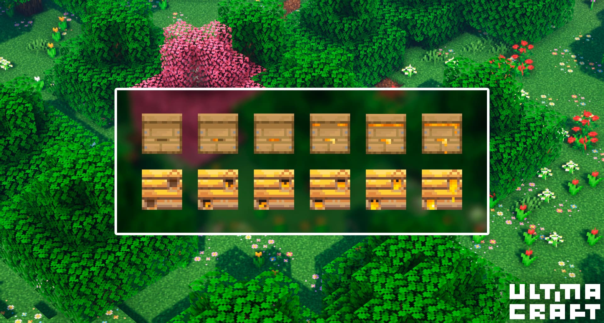 UltimaCraft screenshot