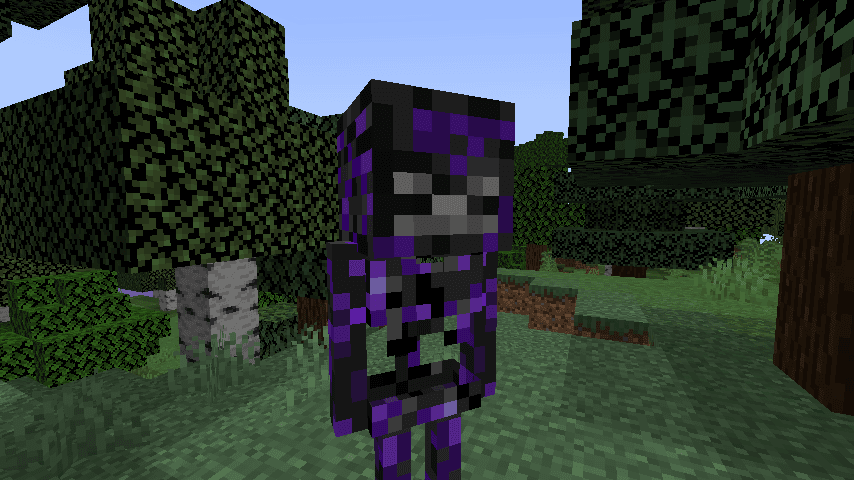 Nether Skeletons screenshot
