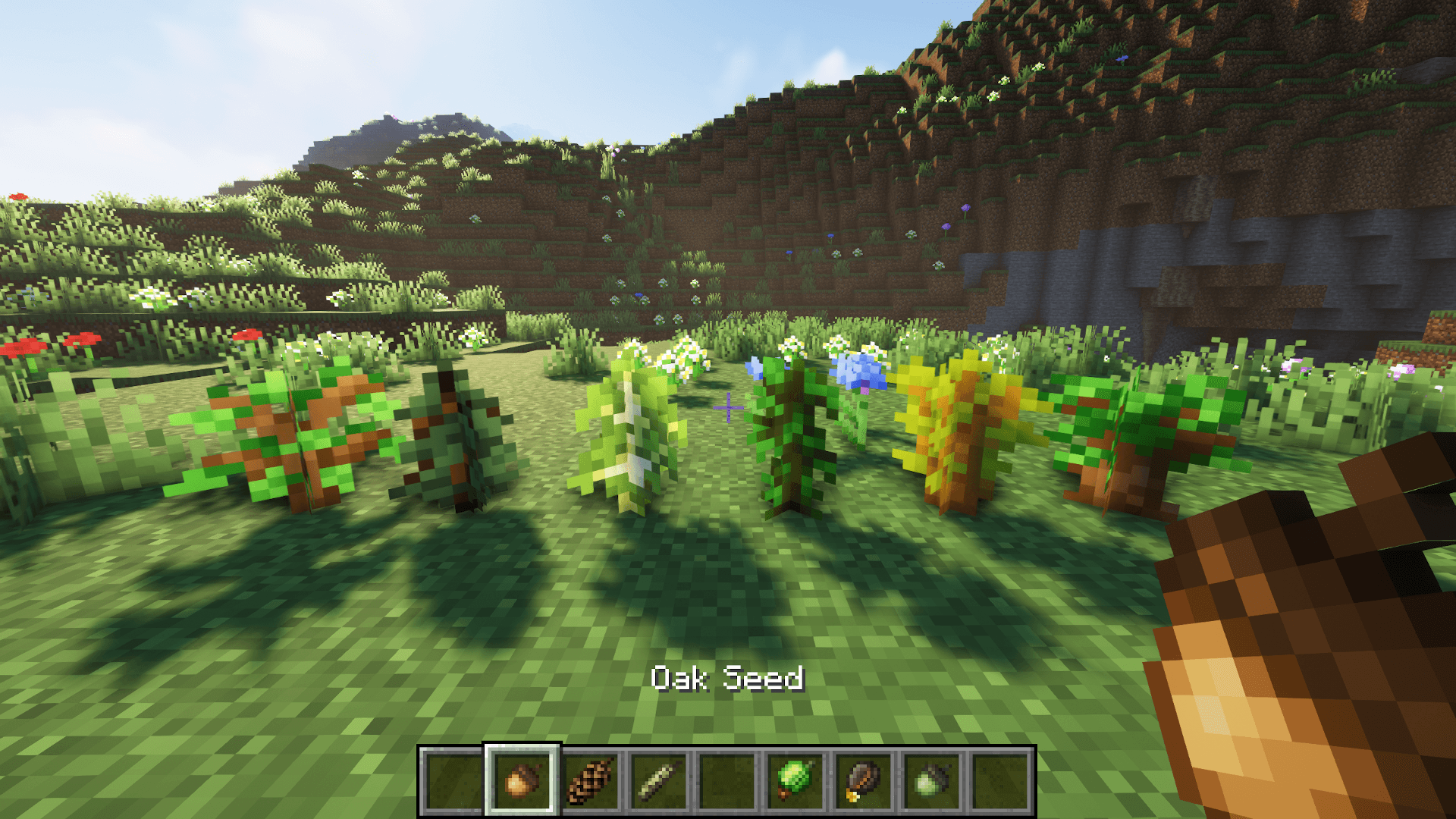 Tree Seeds screenshot