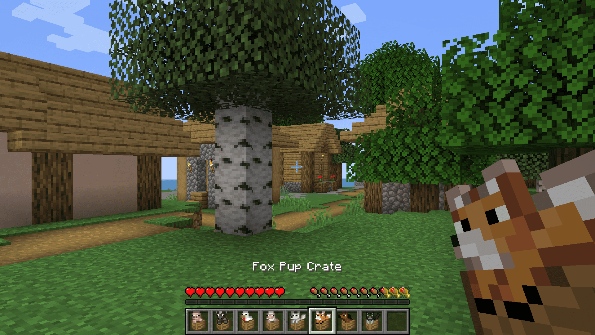Villagers Sell Animals [NoCube's Mods] screenshot