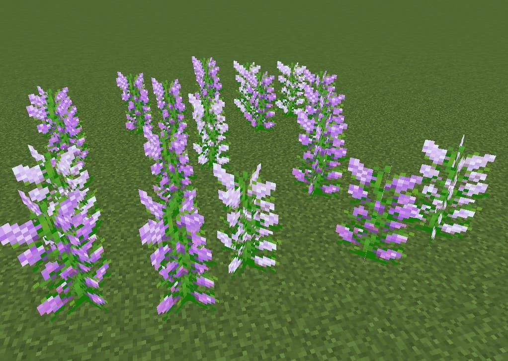 Botanical Aesthetics screenshot