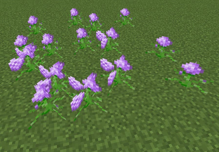Botanical Aesthetics screenshot