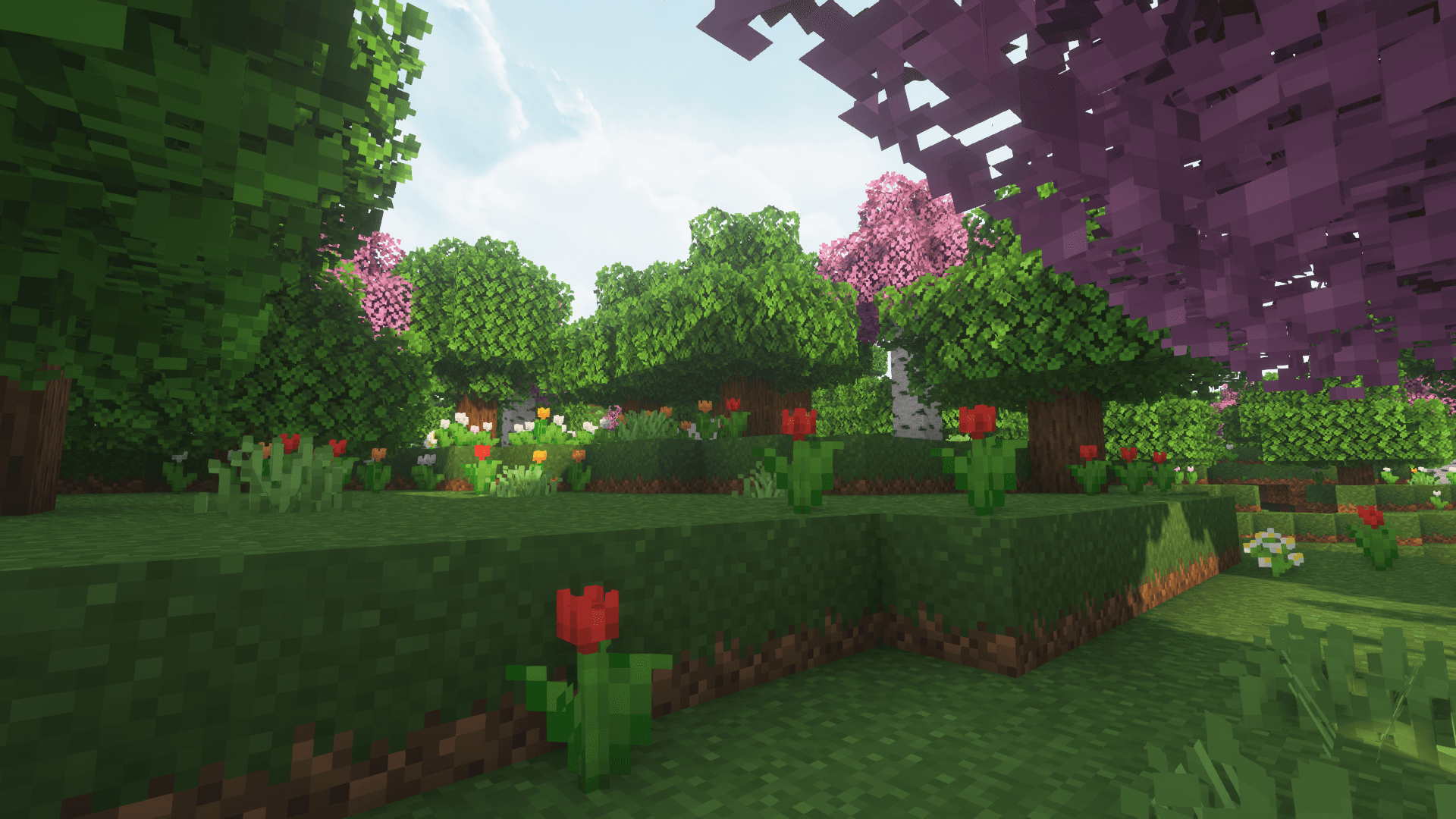 Remodeled screenshot