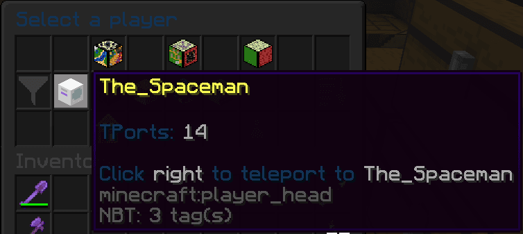 TPort screenshot