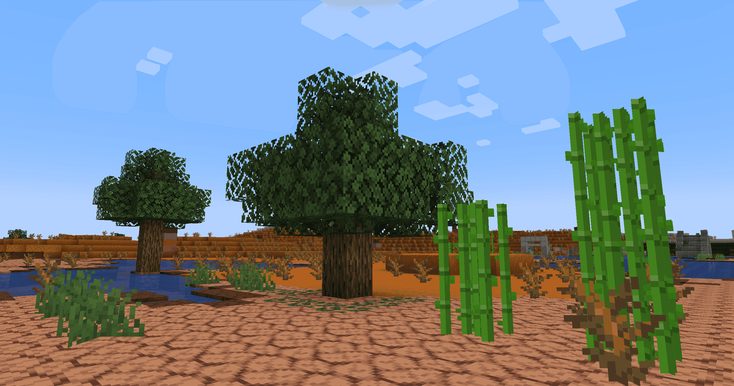 Edgy Foliage #leaves #grass #cactus #sugarcane #compat screenshot