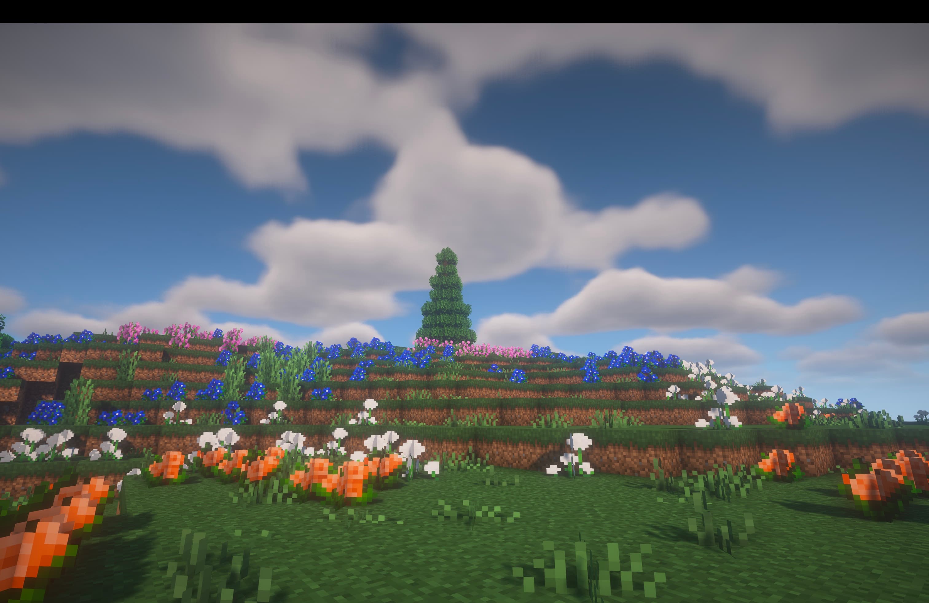 [Let's Do] Meadow screenshot