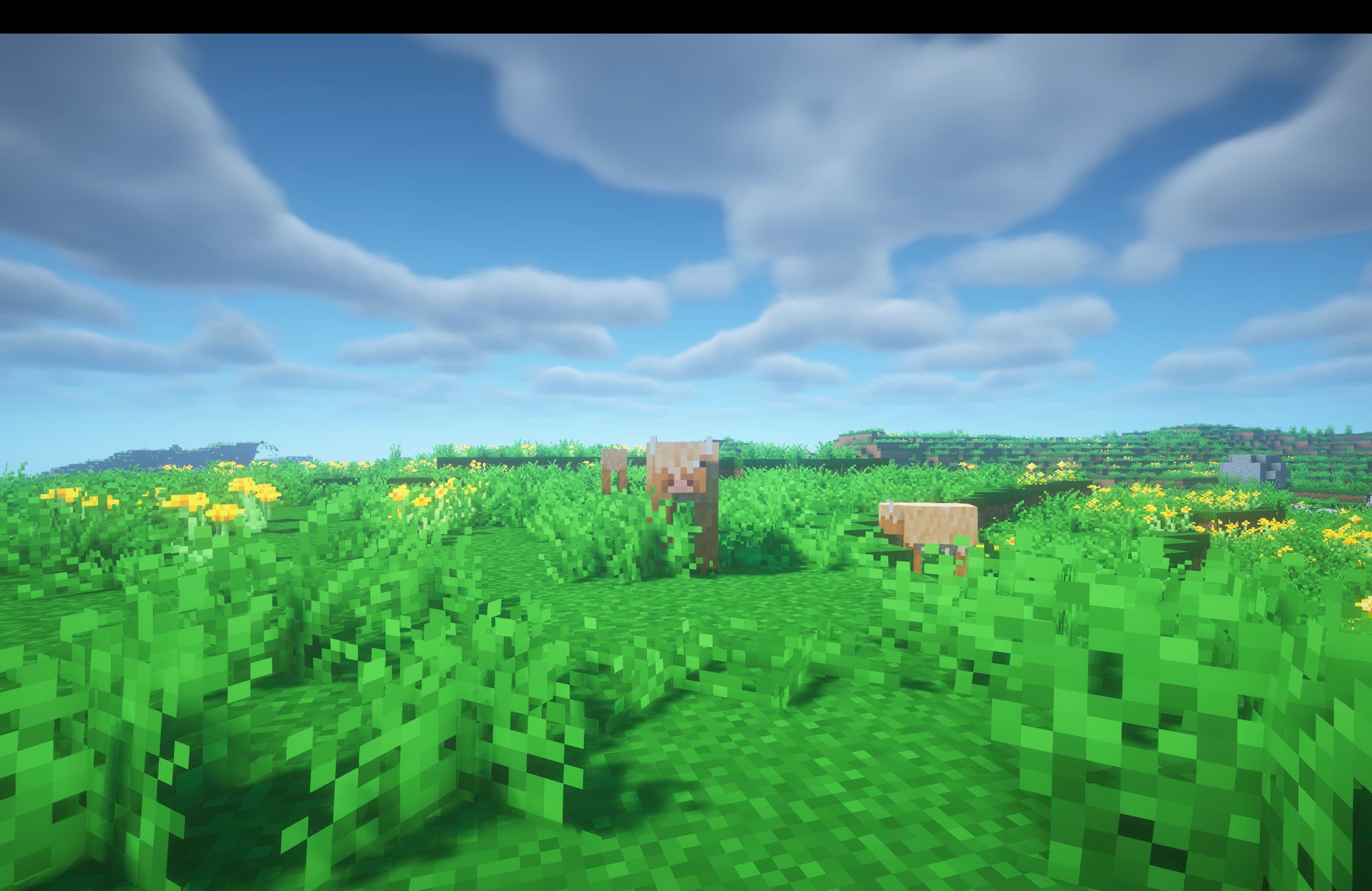 [Let's Do] Meadow screenshot