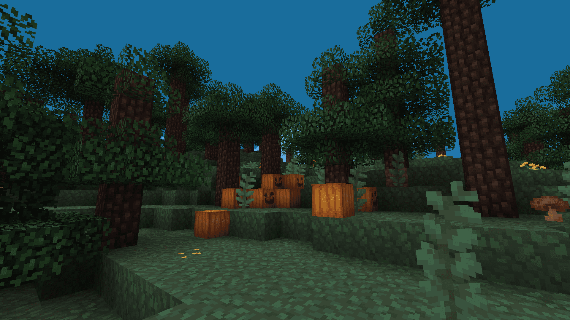 Pixel Perfection - Freshly Updated! screenshot