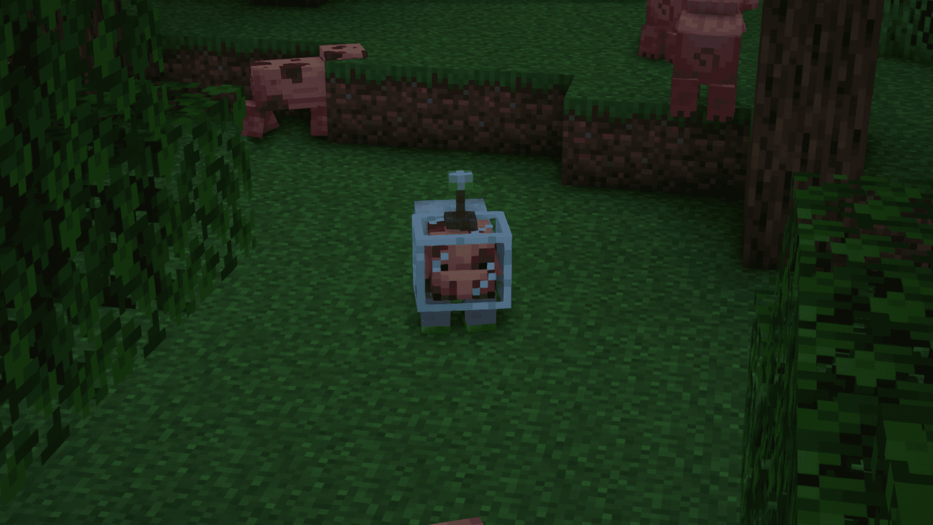 Porkier Pigs x Fresh Animations screenshot
