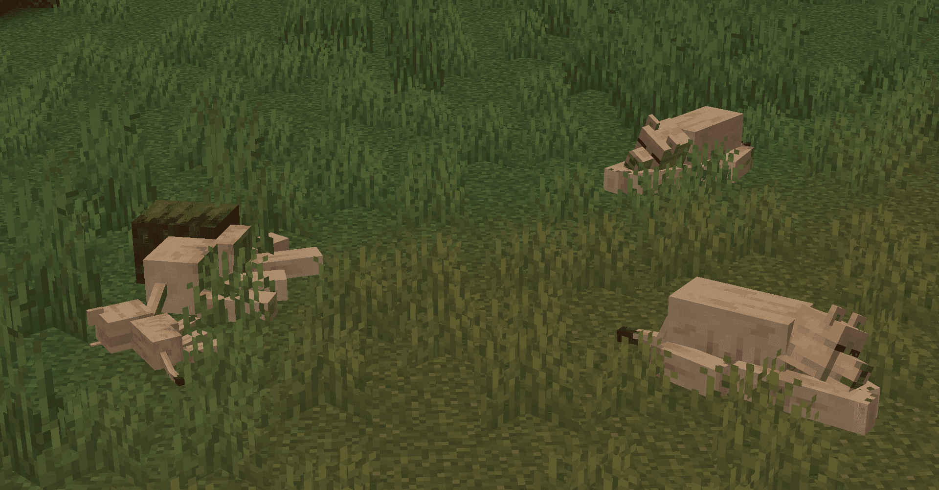 Naturalist screenshot