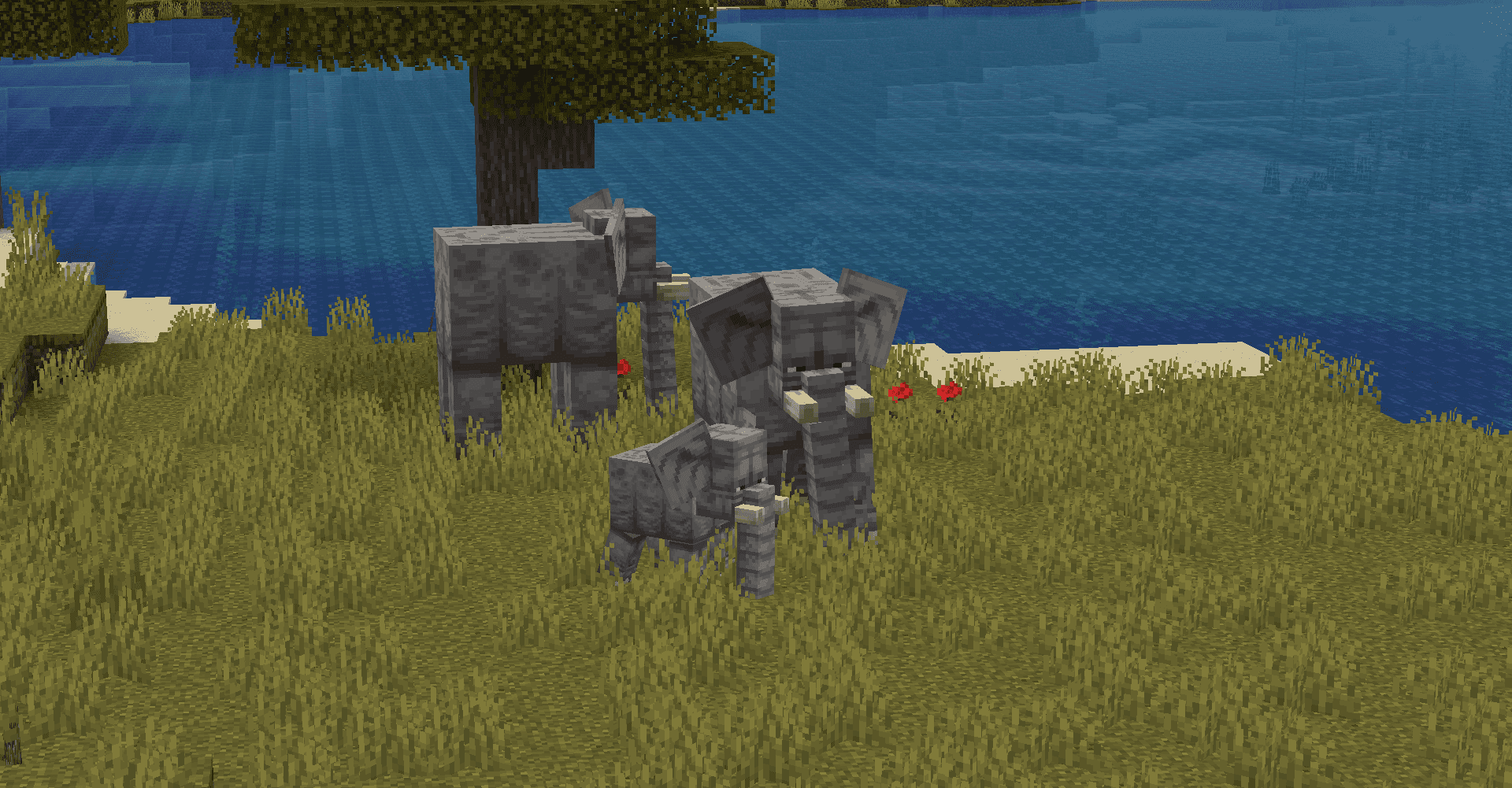 Naturalist screenshot