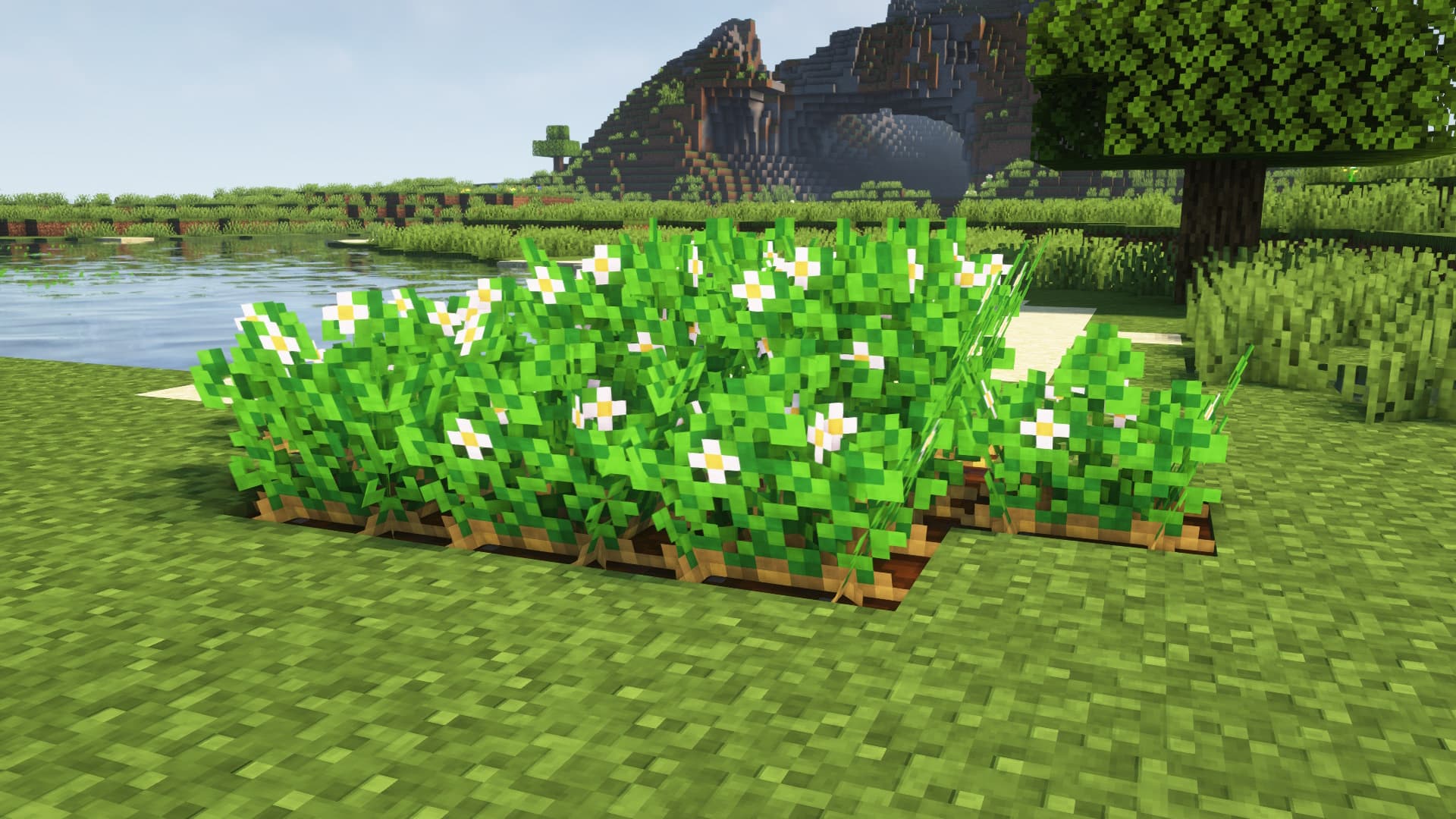 (Bee's) Fancy Crops screenshot