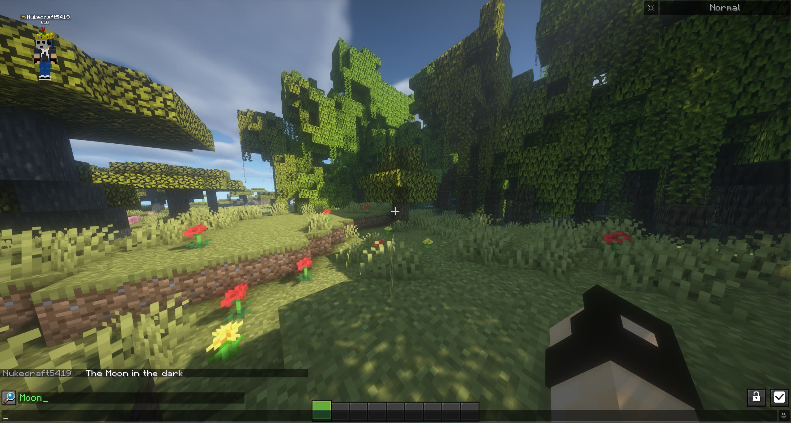Chat Patches screenshot