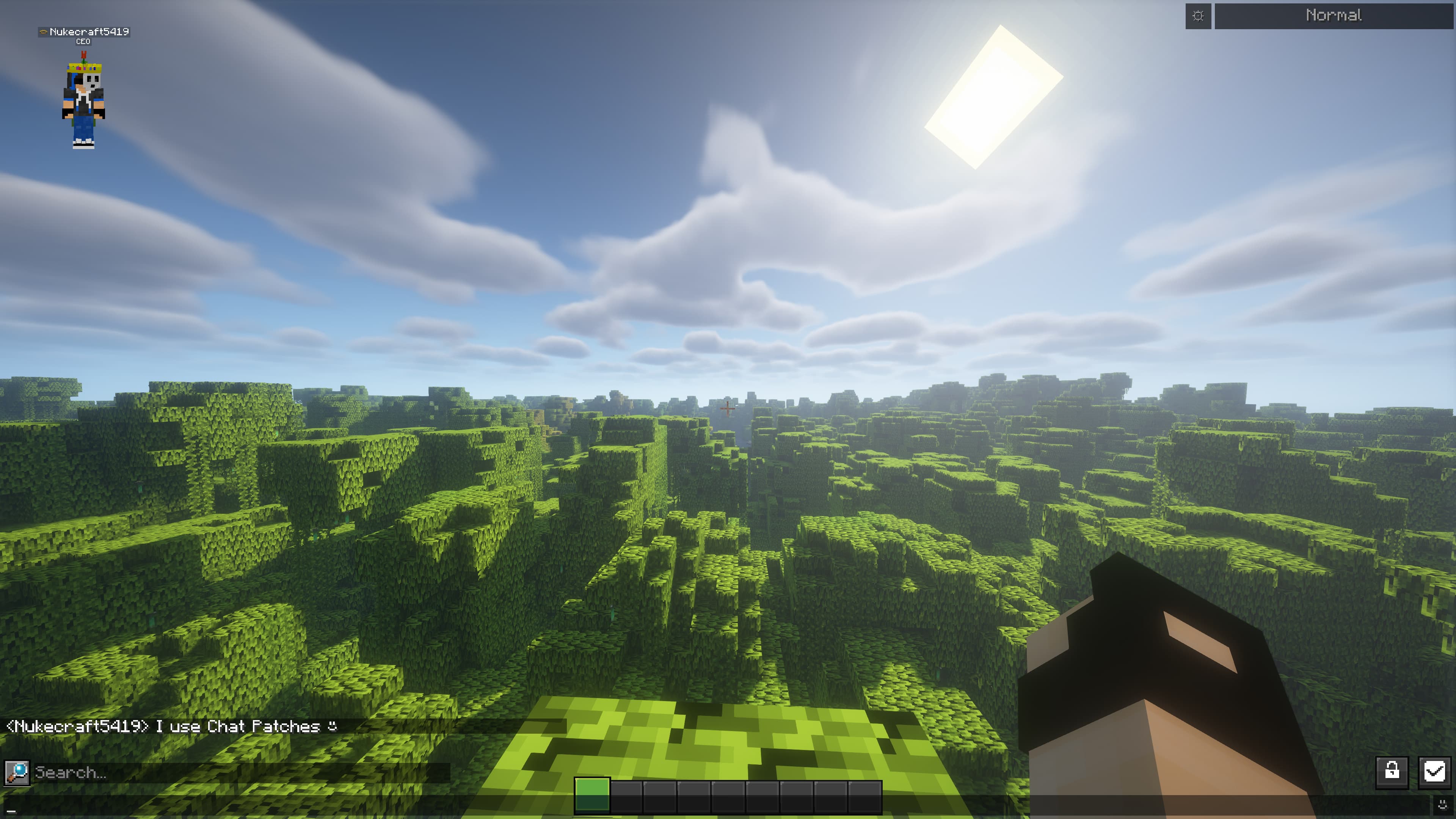 Chat Patches screenshot