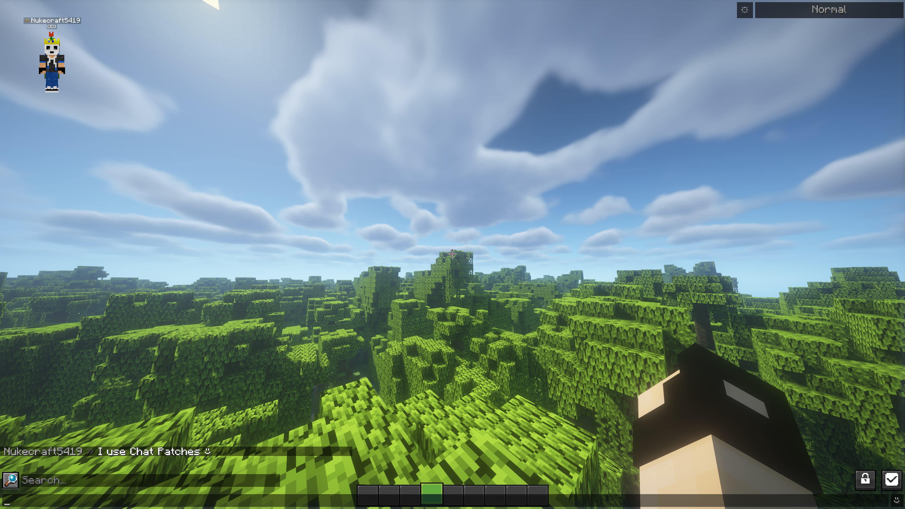 Chat Patches screenshot