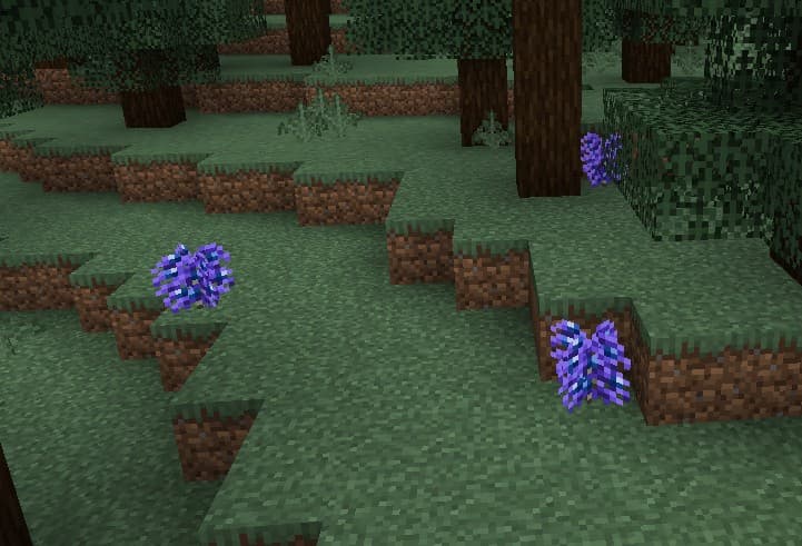 Wizardry Delight screenshot