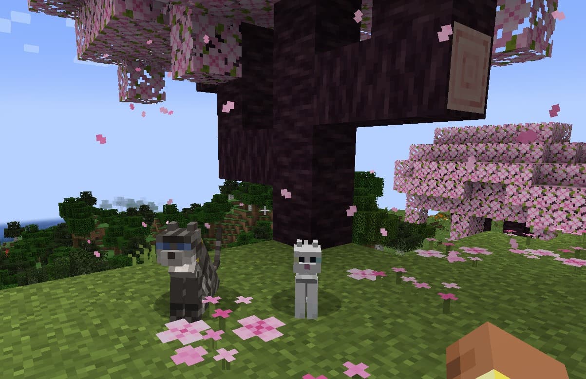 Gray Tabby Cat screenshot