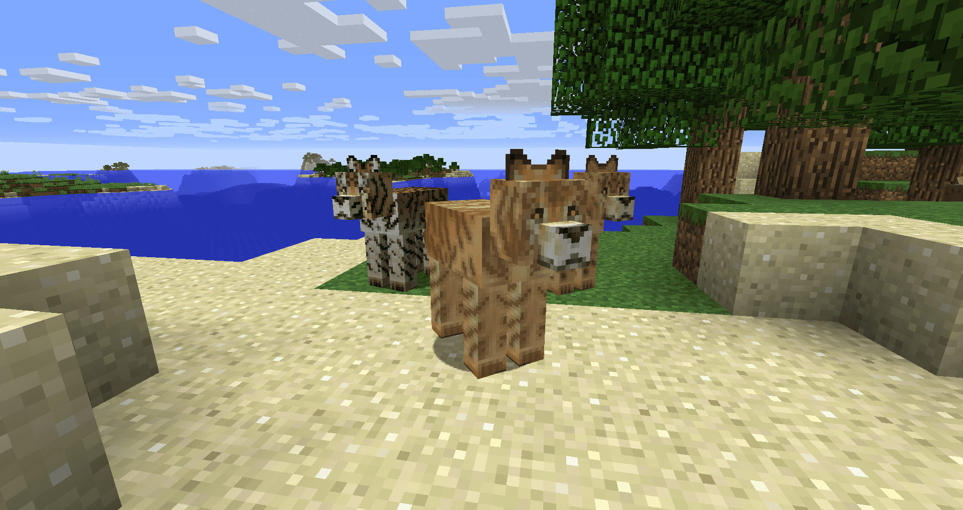 Mo' Creatures Extended screenshot