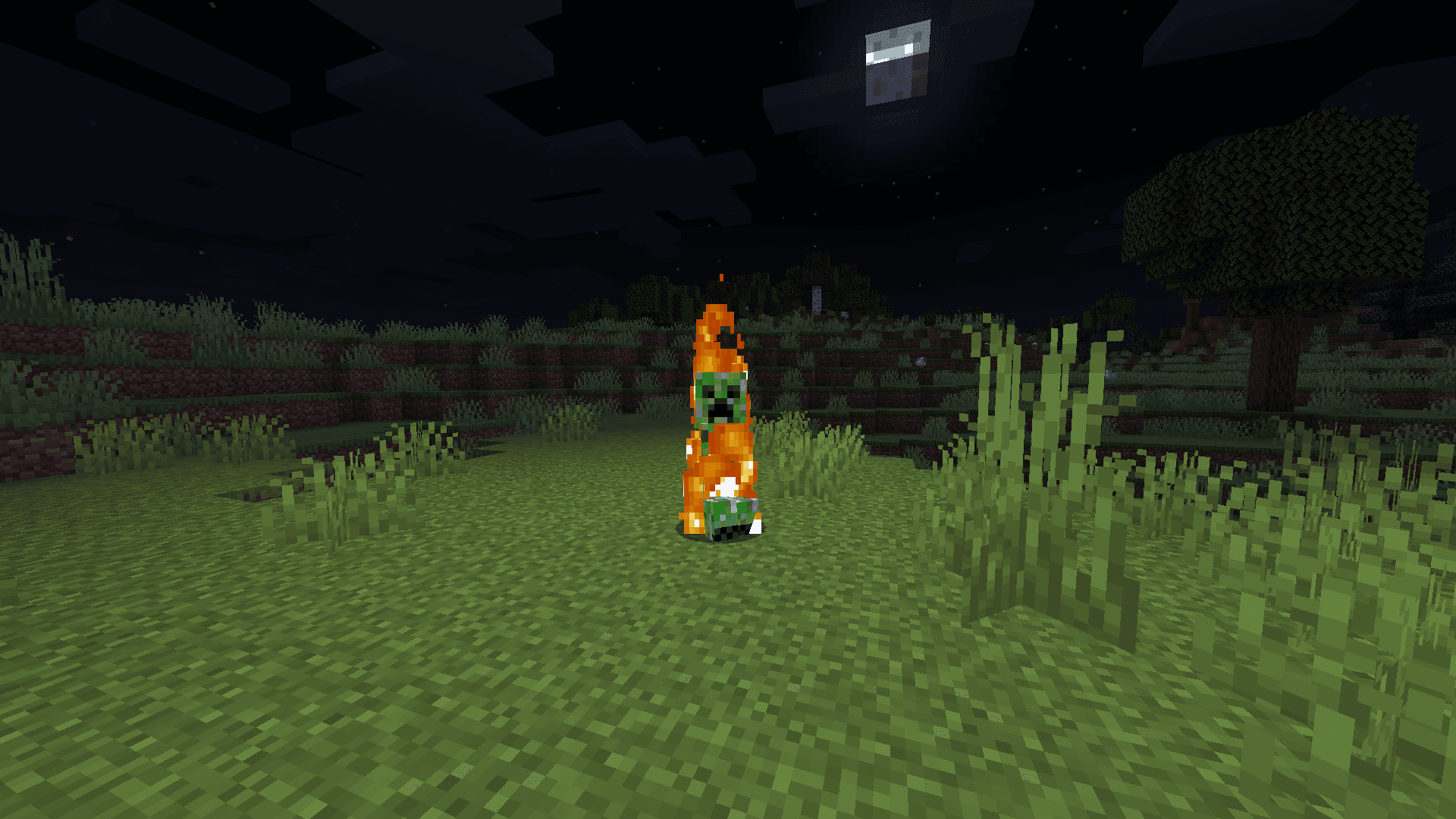 Dynamic Lights [Server] [Fabric/NeoForge] screenshot