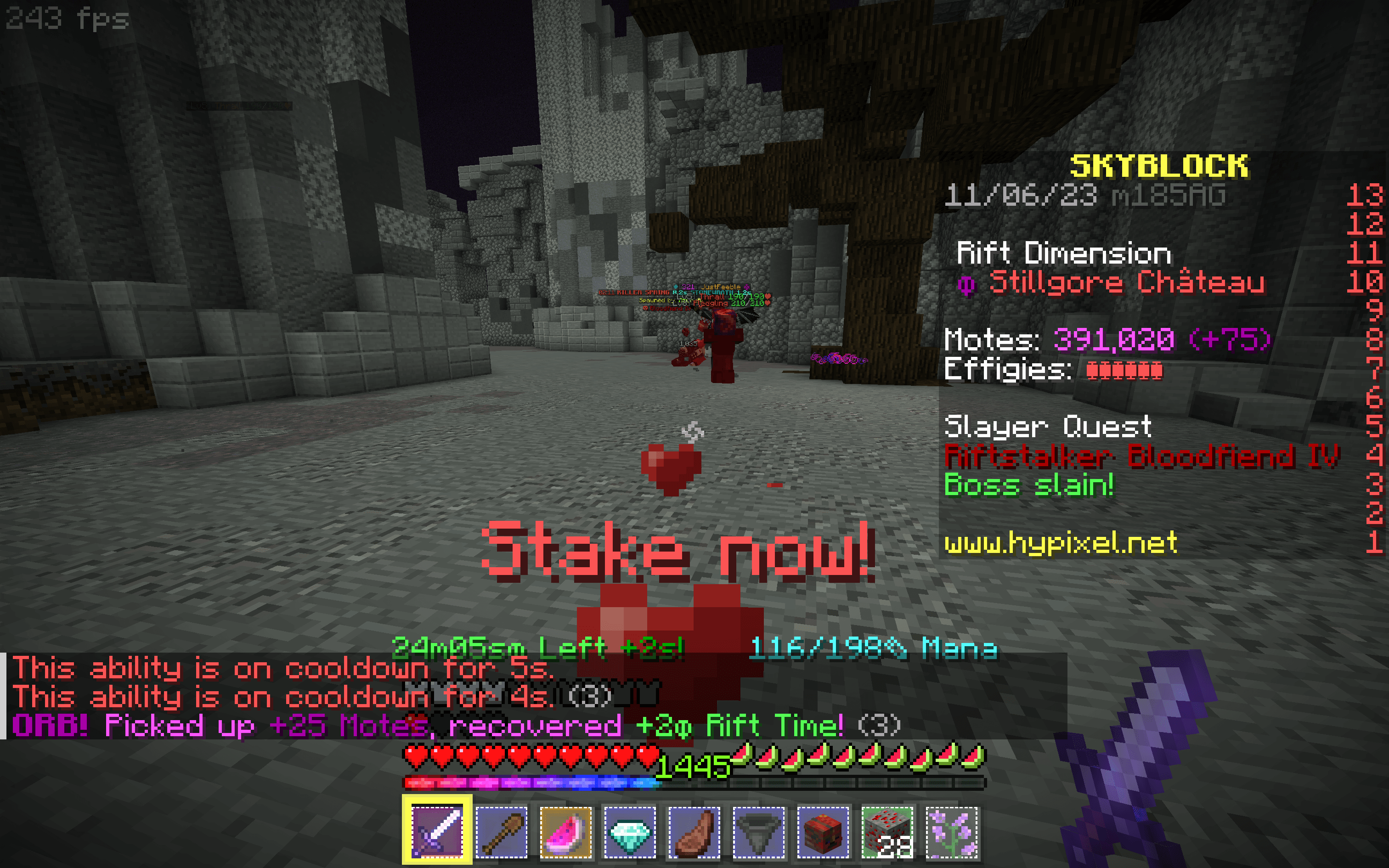 Skyblocker screenshot