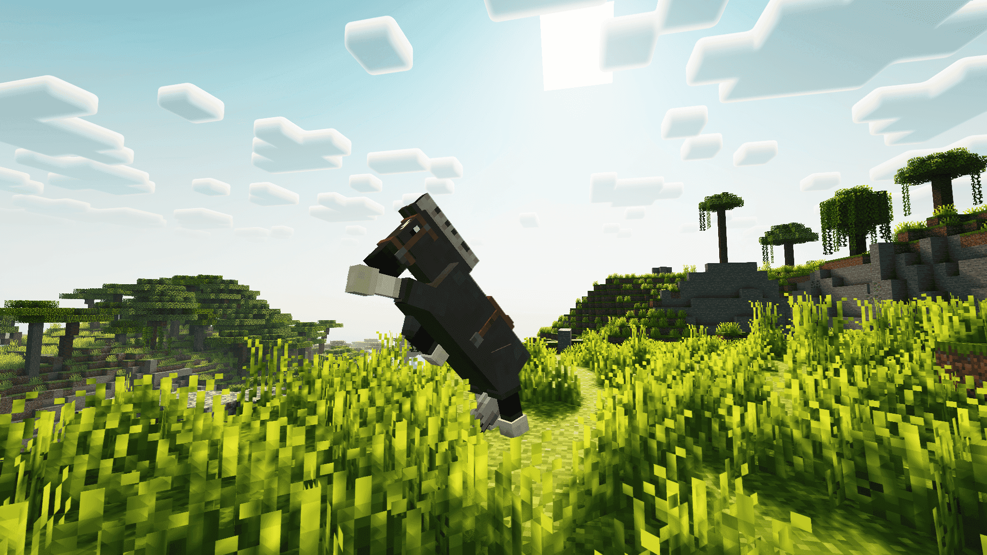 Play as Dragon: Comfort Edition screenshot